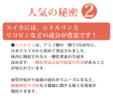 画像をギャラリービューアに読み込む, 無添加 尾花沢産のスイカを使用 すいか糖 150g×2個セット【尾花沢農産加工】