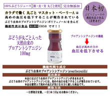 画像をギャラリービューアに読み込む, 山梨Made 食べるぶどうジュース 3本セット(マスカット・ベーリーA、巨峰、シャインマスカット 各1本)【山梨県産】