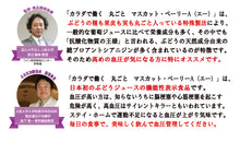 画像をギャラリービューアに読み込む, 山梨Made 食べるぶどうジュース 3本セット(マスカット・ベーリーA、巨峰、シャインマスカット 各1本)【山梨県産】