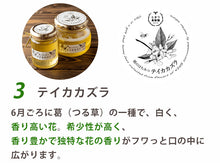 画像をギャラリービューアに読み込む, ときつ養蜂園 郷のはちみつギフトセット 小130g×3本セット(モチノキ、ブレンド、テイカカズラ)【Bee's life】
