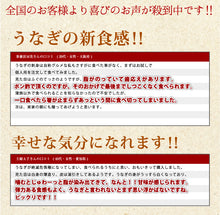 画像をギャラリービューアに読み込む, 浜名湖うなぎの刺身(ハーフ)【鰻・ウナギ】【魚魚一(とといち)】