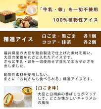 画像をギャラリービューアに読み込む, 100%植物性アイス詰合せ(精進アイス4種・ソイナチュ豆美人アイス2種・恐竜古代アイス2種)計12個セット【無添加無調整豆乳・福井県産大豆100%使用】【牛乳・卵不使用】【ごーる堂】