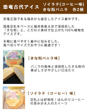 画像をギャラリービューアに読み込む, 100%植物性アイス詰合せ(精進アイス4種・ソイナチュ豆美人アイス2種・恐竜古代アイス2種)計12個セット【無添加無調整豆乳・福井県産大豆100%使用】【牛乳・卵不使用】【ごーる堂】