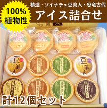 画像をギャラリービューアに読み込む, 100%植物性アイス詰合せ(精進アイス4種・ソイナチュ豆美人アイス2種・恐竜古代アイス2種)計12個セット【無添加無調整豆乳・福井県産大豆100%使用】【牛乳・卵不使用】【ごーる堂】
