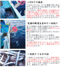 画像をギャラリービューアに読み込む, 一本釣りうるめいわしお刺身セット(冷凍)【宇佐もん工房】