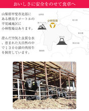 画像をギャラリービューアに読み込む, 甲州ワインビーフカレー(中辛) 6個セット【小林牧場】