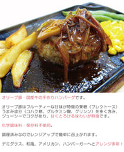 画像をギャラリービューアに読み込む, オリーブ豚(香川県産)の手作りハンバーグ 110g×5個ギフトセット(YP-OHM5)【讃岐の焼豚専門店 焼き豚P】【国産豚肉】【完全手作り】【化学調味料・保存料無添加】