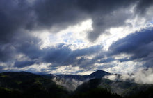 画像をギャラリービューアに読み込む, 茶の葉ようかんと煎茶お詰め(茶の葉ようかん・八女煎茶)【里作り氷砂糖仕立て】【八女茶(日本茶)】【奥八女 茶の葉堂】