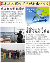 画像をギャラリービューアに読み込む, ブリ・カツオ藁焼きたたき食べ比べセット(ブリ2袋600g、カツオ1袋約350g)【荒木さん家の鰤】【勇進】