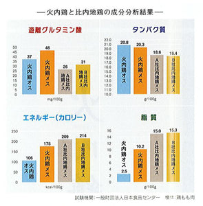 比内地鶏 しゃぶしゃぶセット【火内鶏（ぴるないどり）】【あきた六次会】