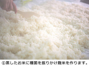 甘酒 あまま 120ml×12個 米袋入りギフトセット【千葉県産コシヒカリ100%使用】【かやま酒蔵】【米麹 あまざけ 砂糖不使用 ノンアルコール 無添加】