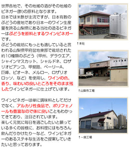 熟成ワインビネガーBセット（熟成ワインビネガー（白）、スウィートビネガー桃、ドリンクビネガー（グレープ） 各1本）【国産】【アサヤ食品】