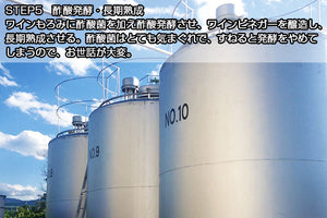 熟成ワインビネガーBセット（熟成ワインビネガー（白）、スウィートビネガー桃、ドリンクビネガー（グレープ） 各1本）【国産】【アサヤ食品】