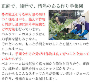 青汁シークワーサー入り　100g×30袋セット 冷凍 国産ケール・完全無添加100%ジュース ベルファーム