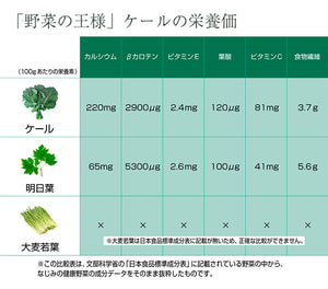 青汁百　100g×30袋セット 冷凍 国産ケール・完全無添加100%ジュース 栽培期間農薬不使用 ベルファーム