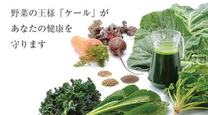青汁百　100g×30袋セット 冷凍 国産ケール・完全無添加100%ジュース 栽培期間農薬不使用 ベルファーム