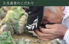 画像をギャラリービューアに読み込む, 国産厳選 完熟にんじんジュース 100%ストレート　100g×30袋セット 冷凍 採れたてすり絞り製法 完全無添加 栽培期間農薬不使用 ニンジン、人参 ベルファーム
