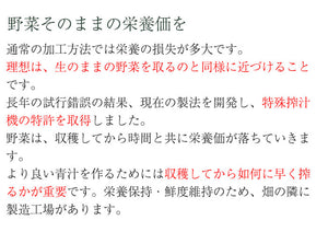 国産厳選 完熟にんじんジュース 100%ストレート　100g×30袋セット 冷凍 採れたてすり絞り製法 完全無添加 栽培期間農薬不使用 ニンジン、人参 ベルファーム