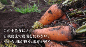 国産厳選 完熟にんじんジュース 100%ストレート　100g×30袋セット 冷凍 採れたてすり絞り製法 完全無添加 栽培期間農薬不使用 ニンジン、人参 ベルファーム