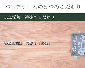 国産厳選 完熟にんじんジュース 100%ストレート　100g×30袋セット 冷凍 採れたてすり絞り製法 完全無添加 栽培期間農薬不使用 ニンジン、人参 ベルファーム