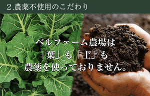 国産厳選 完熟にんじんジュース 100%ストレート　100g×30袋セット 冷凍 採れたてすり絞り製法 完全無添加 栽培期間農薬不使用 ニンジン、人参 ベルファーム