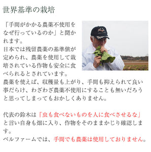 国産厳選 完熟にんじんジュース 100%ストレート　100g×30袋セット 冷凍 採れたてすり絞り製法 完全無添加 栽培期間農薬不使用 ニンジン、人参 ベルファーム