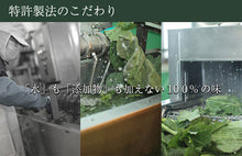 画像をギャラリービューアに読み込む, 国産 生搾り 100% メロンジュース　100g×15袋セット 冷凍 採れたてすり搾り製法 完全無添加 ベルファーム
