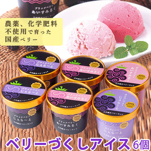 ベリーづくし アイスセット 4種6個セット【青森県産ブラックベリー・ボイズンベリー（無農薬、化学肥料不使用）】【三内縄文ベリーランド】