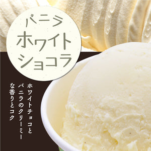ふくち☆リッチジェラート 12種プレミアムセット 【無香料】【無着色】【福岡県福智町特産の素材使用】