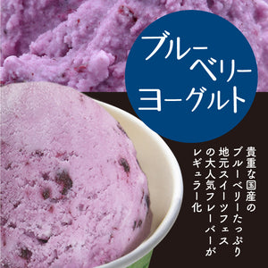 ふくち☆リッチジェラート 12種プレミアムセット 【無香料】【無着色】【福岡県福智町特産の素材使用】