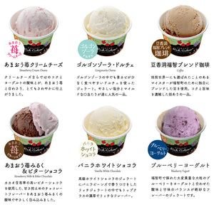 ふくち☆リッチジェラート 12種プレミアムセット 【無香料】【無着色】【福岡県福智町特産の素材使用】