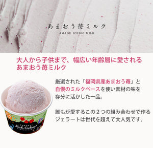 ふくち☆リッチジェラート 3種のあまおう（苺クリームチーズ、苺みるく、苺シャーベット） 合計6個セット【無香料】【無着色】【福岡県福智町特産の素材使用】