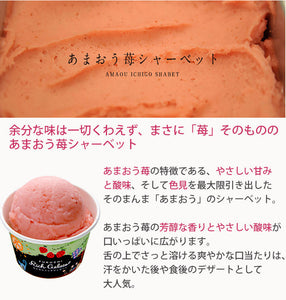 ふくち☆リッチジェラート 3種のあまおう（苺クリームチーズ、苺みるく、苺シャーベット） 合計6個セット【無香料】【無着色】【福岡県福智町特産の素材使用】