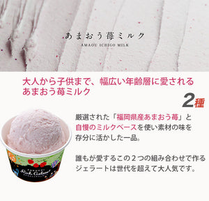 ふくち☆リッチジェラート ベーシック（カタラーナ、あまおう苺ミルク、あまおう苺シャーベット、いちじくの赤ワイン煮、黒豆きなこ、抹茶きなこ） 合計6個セット【無香料】【無着色】【福岡県福智町特産の素材使用】