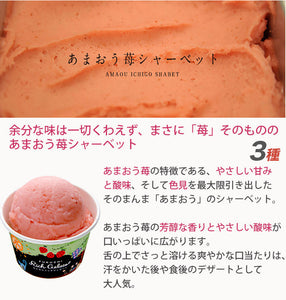 ふくち☆リッチジェラート ベーシック（カタラーナ、あまおう苺ミルク、あまおう苺シャーベット、いちじくの赤ワイン煮、黒豆きなこ、抹茶きなこ） 合計6個セット【無香料】【無着色】【福岡県福智町特産の素材使用】