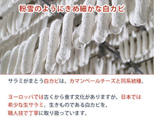 画像をギャラリービューアに読み込む, 唐津くん煙工房 トンネル氷零下熟成 7種 8点セット(白カビ粉雪サラミ,燻しベーコンブロック、パプリカリヨナー、リヨナーステーキトマト＆チーズ,ロースハムブロック,桜スモークハムブロック,仕込み生ハムコッパ)
