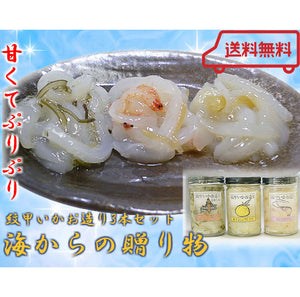 海からの贈り物 紋甲いかお造り3本セット（昆布じめ、桜えび仕立て、柚子こしょう仕立て）【源馬】