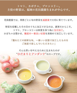 ブロッコリーのポタ―ジュ×6袋【ひだまりとアンダンテ】【竹千寿プロデュース】【花田農園の野菜使用】【保存料・着色料無添加】