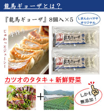 画像をギャラリービューアに読み込む, 【しまんとハマヤ】鰹タタキの龍馬ギョーザ 8個入り×5【化学調味料・保存料は不使用】
