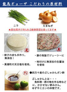 【しまんとハマヤ】鰹タタキの龍馬ギョーザ 8個入り×5【化学調味料・保存料は不使用】