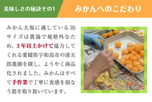 画像をギャラリービューアに読み込む, 一福百果 まるごとみかん大福 8個入り 愛媛県今治にある和菓子屋 清光堂
