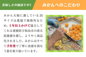一福百果 まるごとみかん大福 8個入り 愛媛県今治にある和菓子屋 清光堂