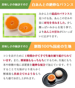 一福百果 まるごとみかん大福 8個入り 愛媛県今治にある和菓子屋 清光堂