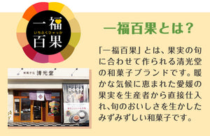 一福百果 まるごとみかん大福 8個入り 愛媛県今治にある和菓子屋 清光堂