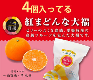 一福百果 紅まどんな大福4個 まるごとみかん大福5個 合計9個セット 愛媛県今治にある和菓子屋 清光堂