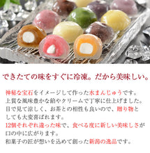 画像をギャラリービューアに読み込む, クリスタル・クリア・ケーキ Crystal-Clear Cake 40g×12種セット（こしあん・黒蜜きなこ・ふじりんごクリーム・マンゴー・プラム・カフェオレ・ブルーベリー・いちごみるく・紅いも・豆乳・抹茶・モンブラン）【さささ堂】【長岡の和菓子】
