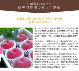ジュエリーピーチ 農園の完熟ジュースセット 完熟ピーチネクター 500ml×2本【やまなし内藤農園】
