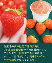 画像をギャラリービューアに読み込む, 香美苺のジェラート 12個セット(兵庫県但馬のイチゴを50％以上使用）【ユースランド】
