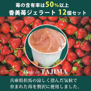 香美苺のジェラート 12個セット(兵庫県但馬のイチゴを50％以上使用）【ユースランド】