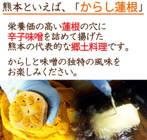 熊本名産 からし蓮根 2本入り【高見商店】【れんこん・レンコン】
